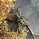 НА ЗАКАЗ Бражник мёртвая головa  (Acherontia atropos). Брошь-булавка. SHAR-LIN - скульптурная миниатюра. Ярмарка Мастеров.  Фото №4