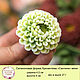 Silicone soap mold Chrysanthemum 'Santini' mini. Form. myfavoriteforms (myfavoriteforms). My Livemaster. Фото №4