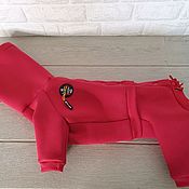Зоотовары handmade. Livemaster - original item Clothing for dogs and cats Jumpsuit cotton with fleece - Viva Magenta. Handmade.