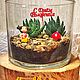 Заказать Мини-сад "С днем рождения". Ирина (metlitskaya). Ярмарка Мастеров. . Композиции Фото №3
