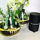 Флорариум "Орхидея лайм. Флорариумы. Florariumstyle. Интернет-магазин Ярмарка Мастеров.  Фото №2