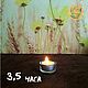 Wax candle in a sleeve (tea). Candles. CandesPhoenix. My Livemaster. Фото №5