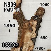 Спил карагача толщина 45 мм TS1214 дерево древесина