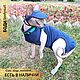 Боди для котиков. Одежда для питомцев. Одежда для кошек и собак  #CATS_DOGS_EXCLUSIVE_. Ярмарка Мастеров.  Фото №6