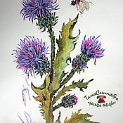 Картины и панно handmade. Livemaster - original item Paintings: watercolor botanical illustration of THISTLE and DRAGONFLY. Handmade.