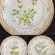 Винтаж:  Тарелка Royal Copenhagen Флора Даника Фарфор / 2807. Тарелки винтажные. Phoenix Antique • Феникс Антик. Ярмарка Мастеров.  Фото №6