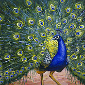 Картины и панно handmade. Livemaster - original item Peacock oil painting on canvas | Buy oil painting. Handmade.