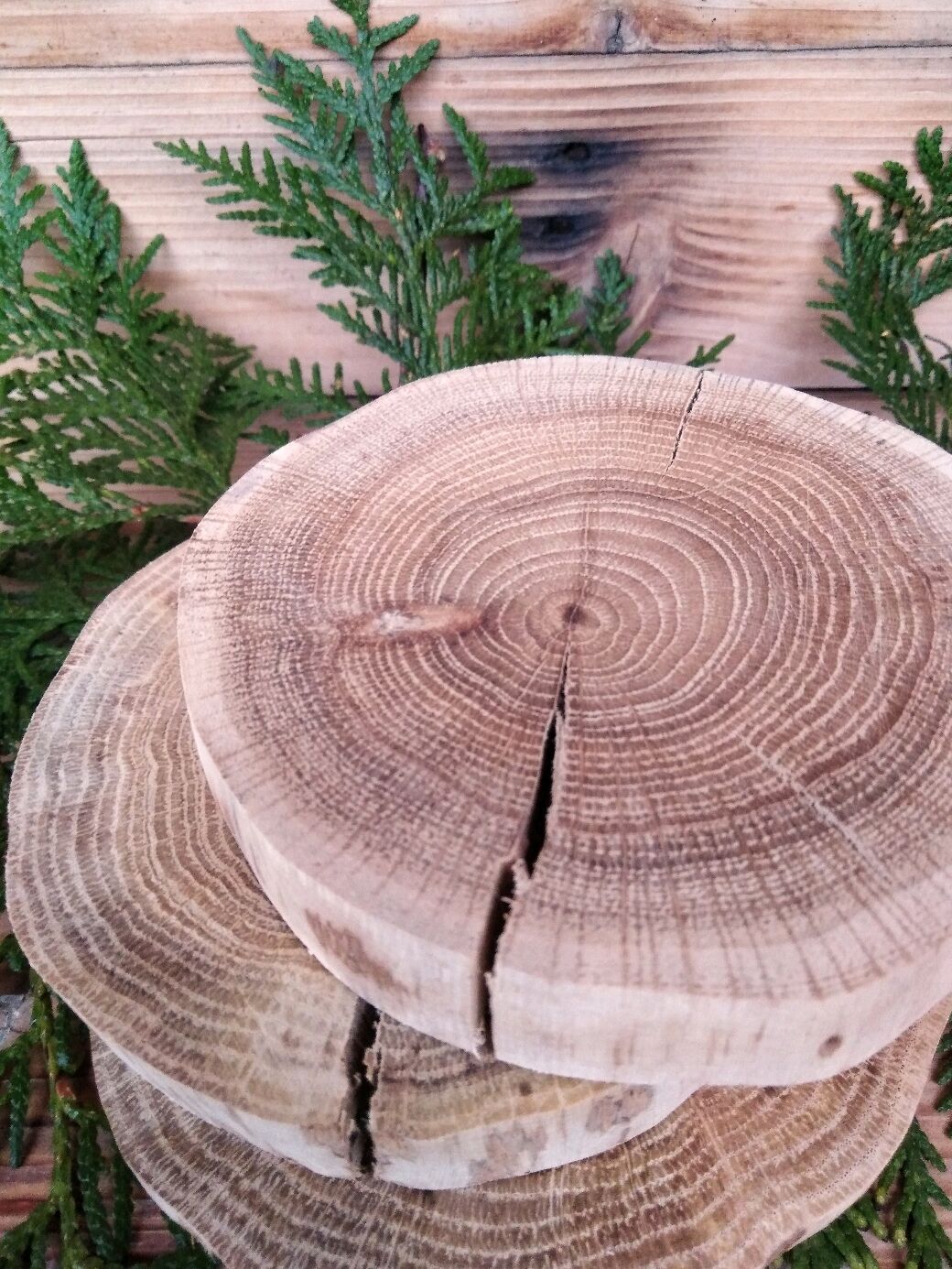 РЕЗЕРВ Набор спилов дуба из 3 шт. . Размер около 10 см – купить на ...