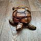Wooden box 'turtle'. Box. krylov-mihail. Online shopping on My Livemaster.  Фото №2