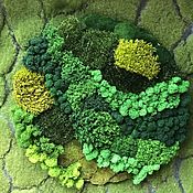 Картины и панно handmade. Livemaster - original item Round phytocart of different types of moss 50 cm. Handmade.