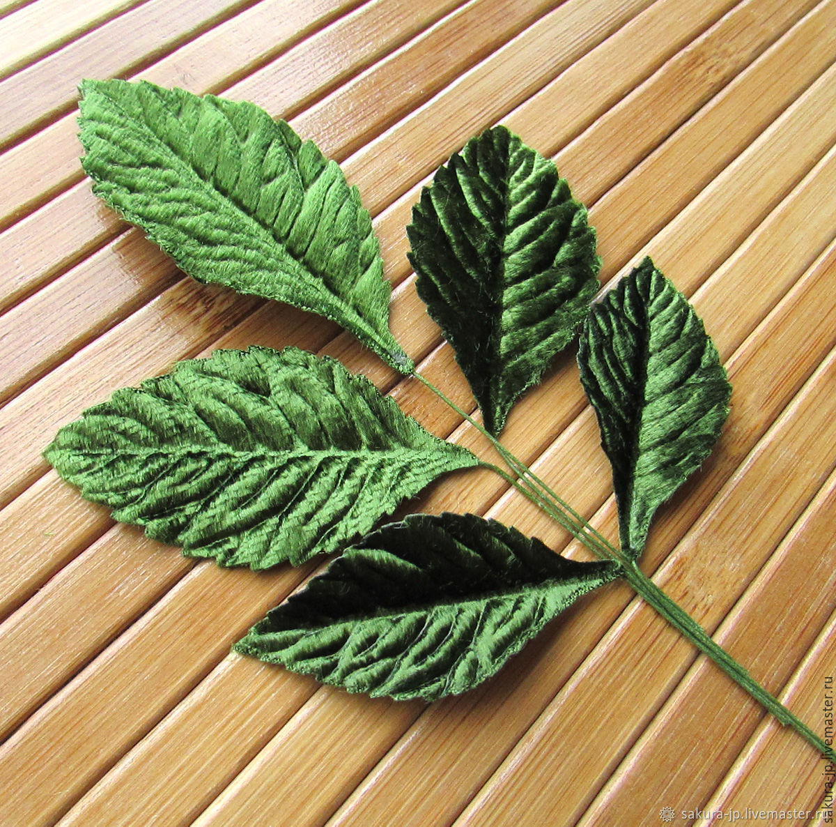 Многолетник с махровыми листьями. Дерево с бархатными листьями. Бархатный листочек. Листики из бархата зелёные. Бархатные листочки.