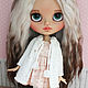 Заказать Кукла Блайз Blythe Doll. Anastaskot. Ярмарка Мастеров. . Кукла Кастом Фото №3