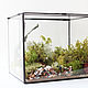Mossarium. Florarium with real live moss. Florariums. Glass Flowers. My Livemaster. Фото №4