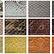 Order Boots Python BELLEZA. Exotic Workshop Python Fashion. Livemaster. . High Boots Фото №3