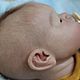 Кукла реборн Перис. Куклы Reborn. Элина Белова. Интернет-магазин Ярмарка Мастеров.  Фото №2