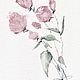 'Fragile' watercolor, flowers, pink, Pictures, Korsakov,  Фото №1