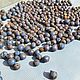 Неочищенная рудракша. Бусины. Gems for Art (Indianstones). Ярмарка Мастеров.  Фото №4
