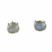 Украшения handmade. Livemaster - original item Earrings with labrador, stud earrings, stud earrings with stone. Handmade.