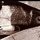 Крем с мазью из смолы сосны (лечение,заживление,восстановление). Кремы. Amorsui (косметика лечебная из трав). Ярмарка Мастеров.  Фото №4