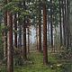 Картина маслом Лесной пейзаж, Картины, Брянск,  Фото №1