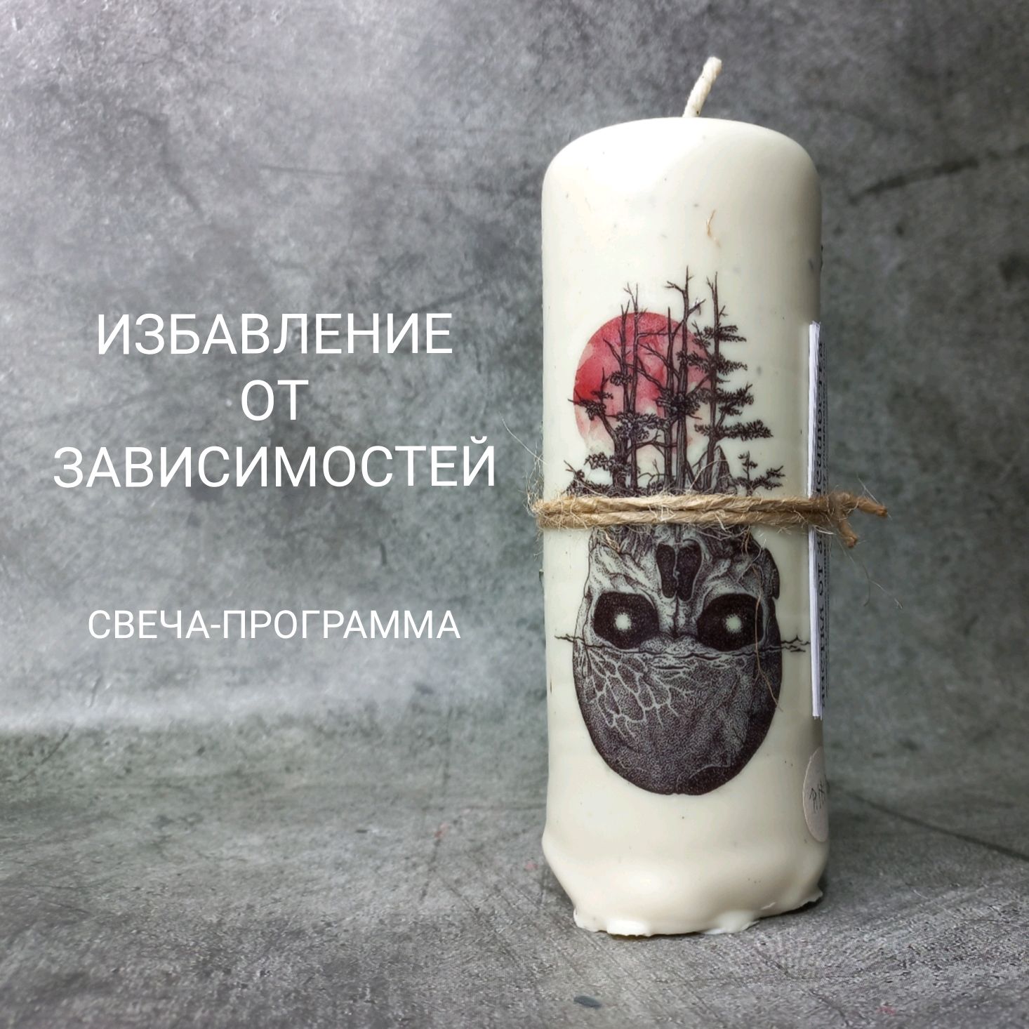 ппс пес. мало адекватный. этапы руководства князева л. жириновский в челябинске. фото вс рф на украине сейчас.