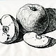  Graphic work in ink 'Apples', Pictures, Penza,  Фото №1