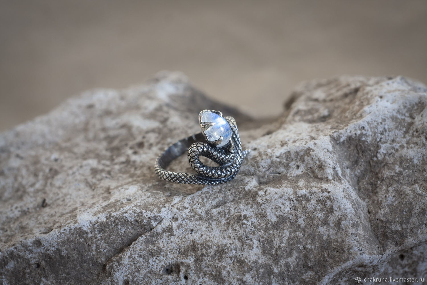 Камень змейкой. Перстень со змеей и камнем. Змеи с камнями кольцом. Кольцо змея с камнем. Кольцо серебряное змея с камнем на голове.