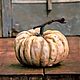 Order Picture: pumpkin. Sculpture. Honfleur. Livemaster. . Pictures Фото №3