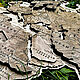 Карта мира объемная / многоуровневая (на деревянной основе), Карты мира, Волгоград,  Фото №1