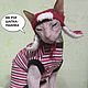 МК-новогодняя ушанка для кошки/кота. Схемы вязания. Аня Петрова. Интернет-магазин Ярмарка Мастеров.  Фото №2
