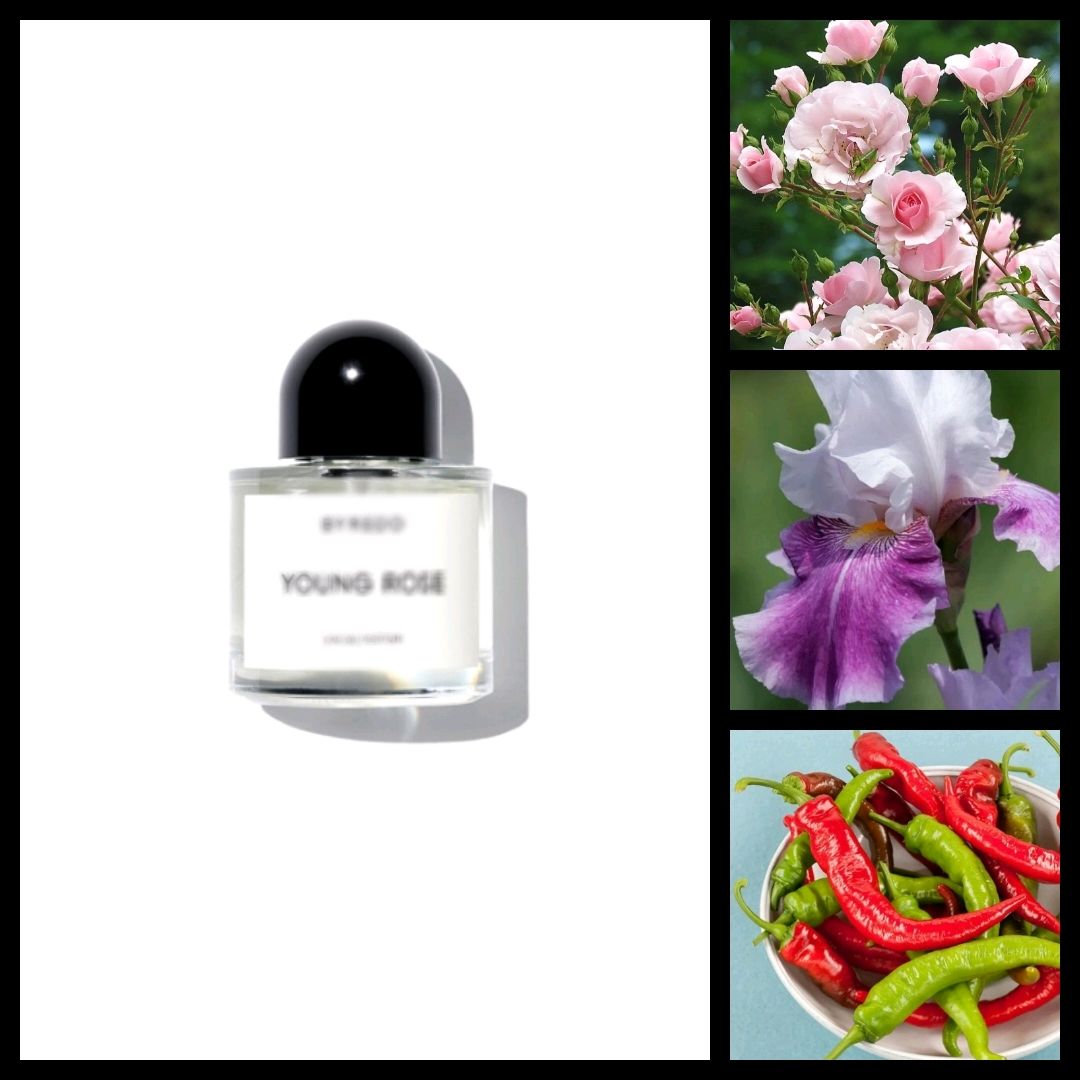 2021. Духи Молодая Роза в стиле Byredo — Young Rose unisex купить в ...