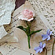  Садовая роза, Брошь-булавка, Владивосток,  Фото №1