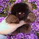Valentin - mink baby bear. Мягкие игрушки. Натали( Atalia Studio). Интернет-магазин Ярмарка Мастеров.  Фото №2