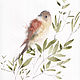 'Enchanted by nature' watercolor painting (birds, beige), Pictures, Korsakov,  Фото №1