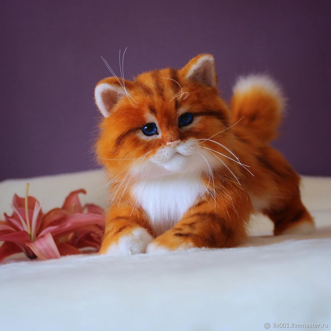 Игрушка котенок персик