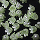 Beads Flowers 10mm Green Pearl 1 piece Acrylic, Beads1, Solikamsk,  Фото №1