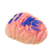 Косметика ручной работы handmade. Livemaster - original item Handmade soap Brain gift joke buy Moscow. Handmade.