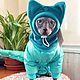 Clothing for cats 'Winter down jacket jumpsuit - Mint', Pet clothes, Biisk,  Фото №1