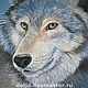Картина пастелью " Волк", Картины, Петрозаводск,  Фото №1