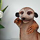 A toy on the hand of a meerkat, a puppet for a puppet theater, Puppet show, Rostov-on-Don,  Фото №1