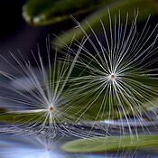 Кулон-полусфера 30 мм Ice flower с гелихризумом из смолы