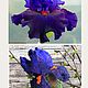 Necklace Blue irises made of wool felted. Necklace. florawool (florawool). My Livemaster. Фото №6
