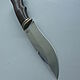 Golden Eagle knife made of forged 95h18. Knives. Morozov. Online shopping on My Livemaster.  Фото №2