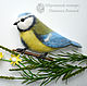 Broche Pájaro carbonero en vetochke - sinichka valyanaya de seis. Brooches. Woolen Zoo. Интернет-магазин Ярмарка Мастеров.  Фото №2