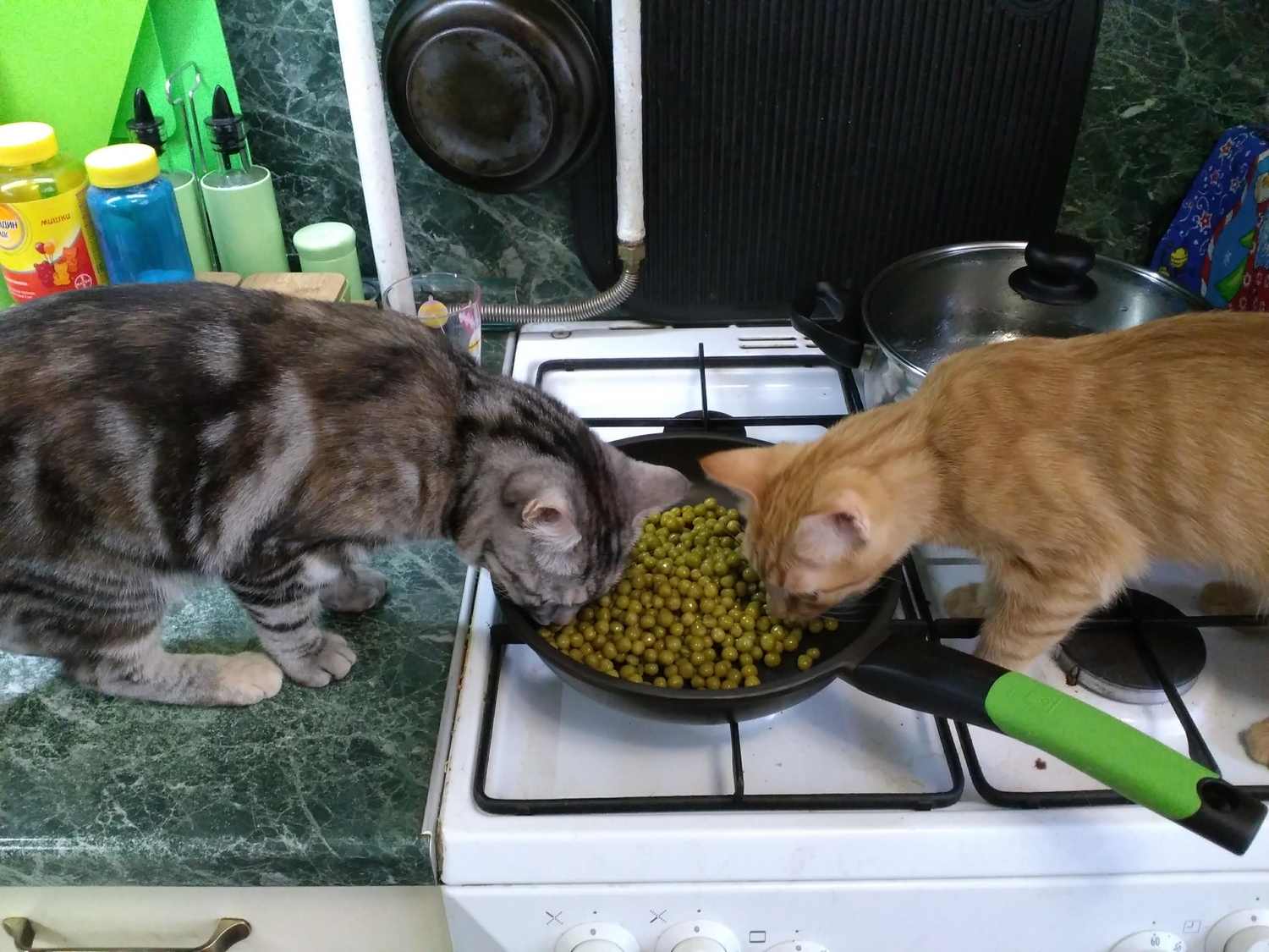 Мой профиль