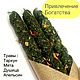 Свечи скрутки Привлечение финансов, Заговорная свеча, Армавир,  Фото №1