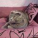 Лежанка "ДИВАНЧИК" для домашних питомцев. Лежанки. ZooBed. Ярмарка Мастеров.  Фото №6