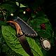 Заказать Ритуальный Нож. Сандро Sobolini. Ярмарка Мастеров. . Ритуальный нож Фото №3