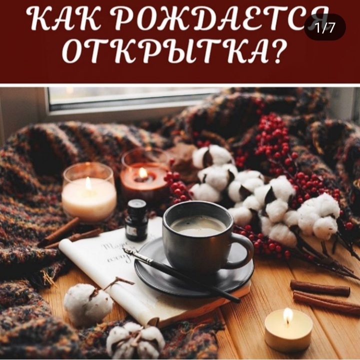 Мой профиль