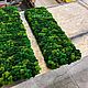 Панель из стабилизированного мха. Фитокартины. Green.Box. Интернет-магазин Ярмарка Мастеров.  Фото №2